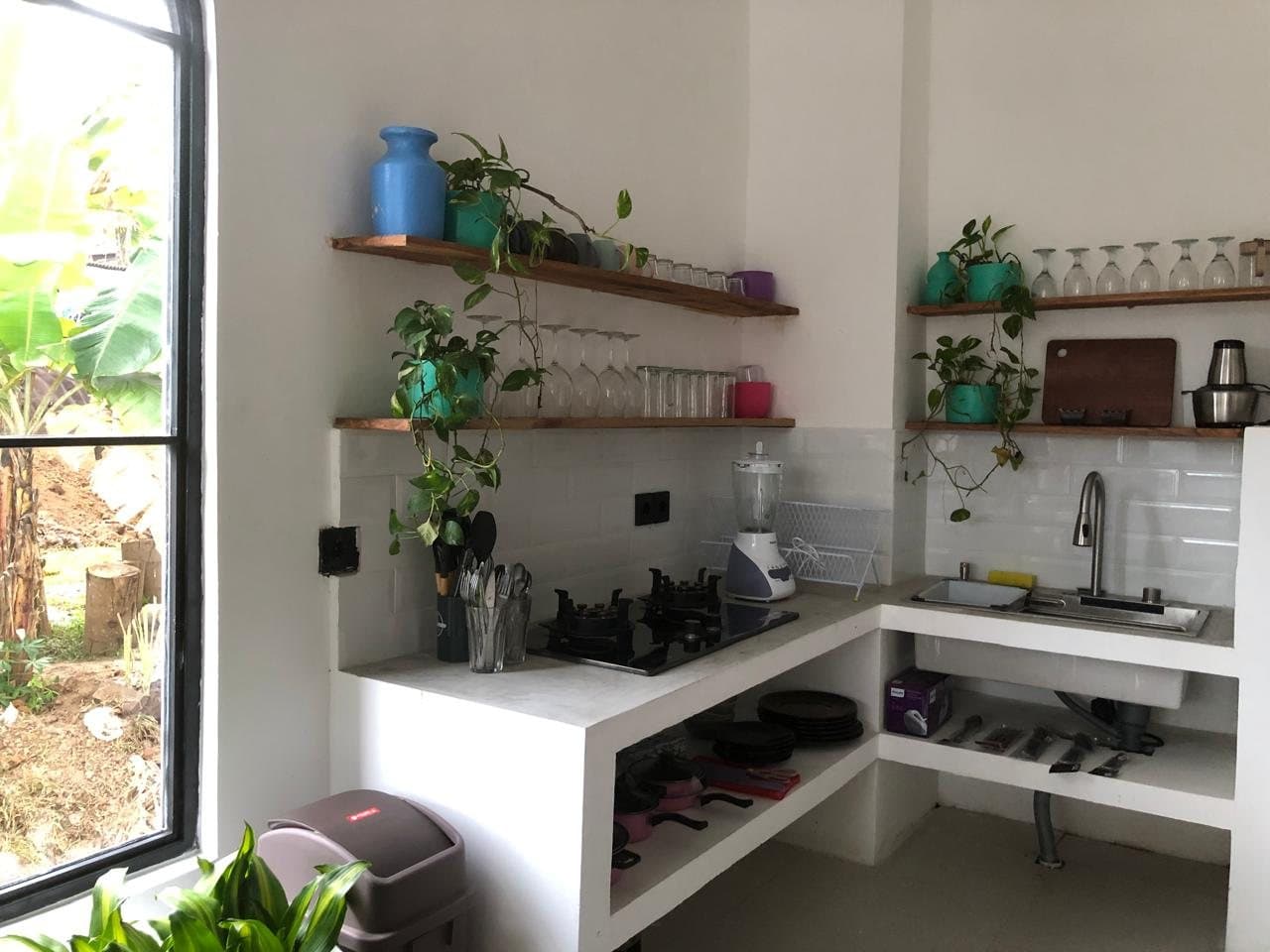 Kitchen with gas hob, sink, open wooden shelves and plants